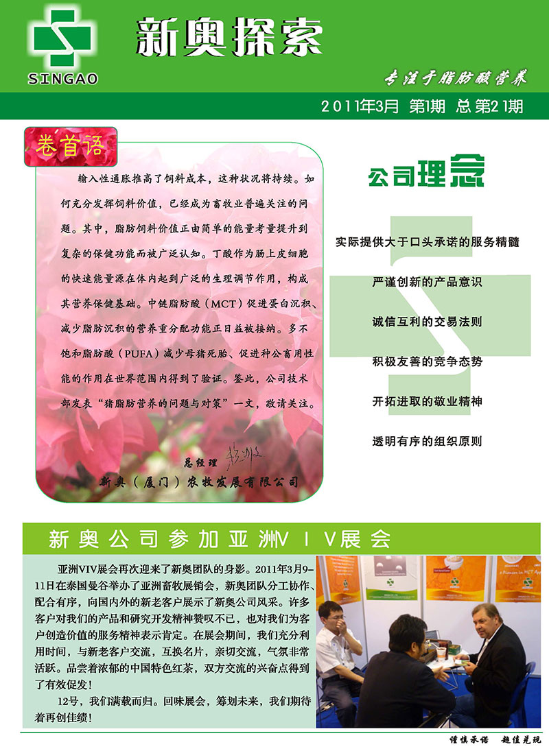 2025新澳精准正版免费大全，全面释义、解释与落实,警惕虚假宣传,安全策略详解