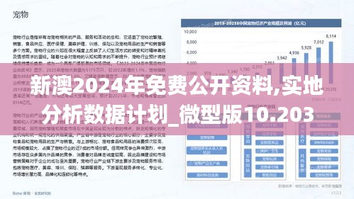 2025年新澳今晚资料,全面释义与警惕虚假宣传-全面释义、解释与落实